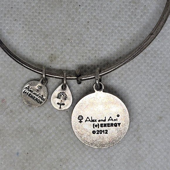 Alex and Ani Star of Venus Charm Bangle in Silver-Tone Brass - Picture 5 of 6